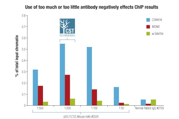 CST 经 ChIP 验证的抗体