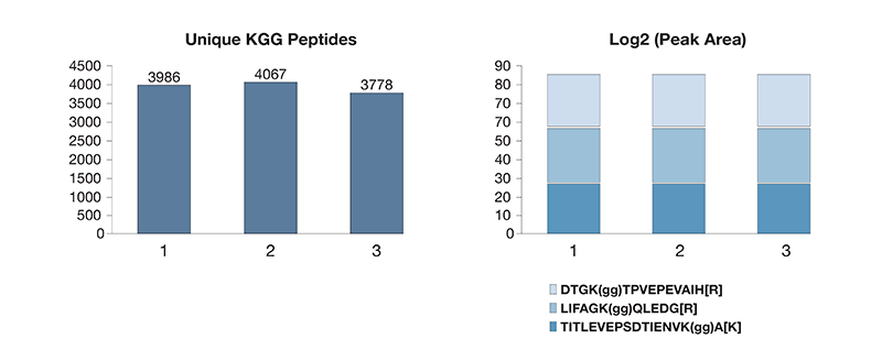 23-BPA-73950 蛋白质组学博客 2 系列图 3 (4)