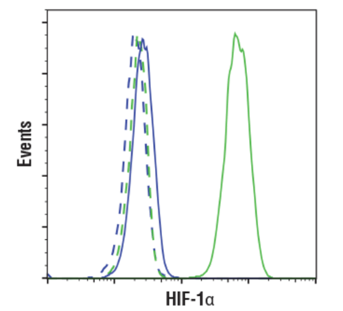 CST 抗体：HIF-1α (D1S7W) XP® Rabbit mAb