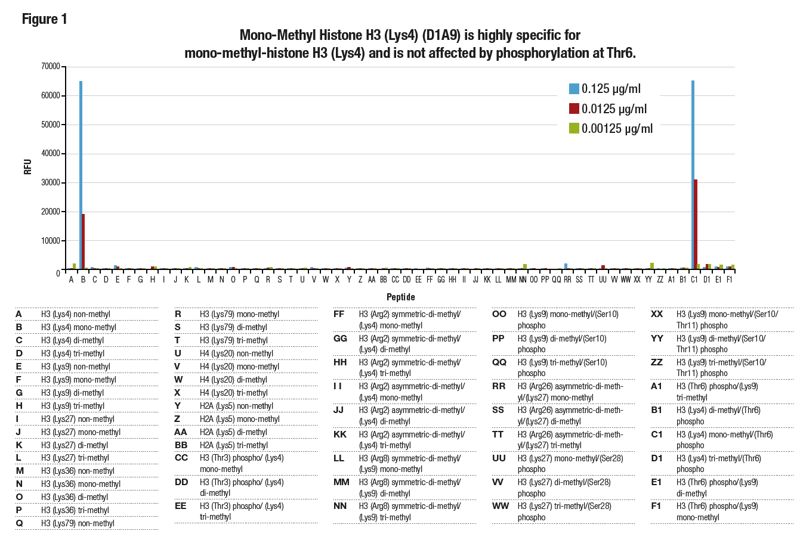 二甲基化组蛋白 H3 (Lys4) (D1A9) 具有高度特异性，并且不受 Thr6 磷酸化影响。
