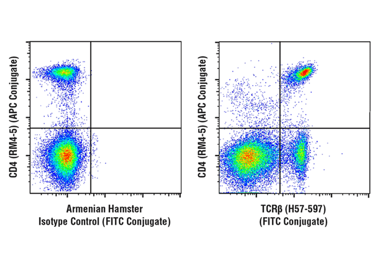 TCRβ (H57-597) Hamster mAb (FITC Conjugate)
