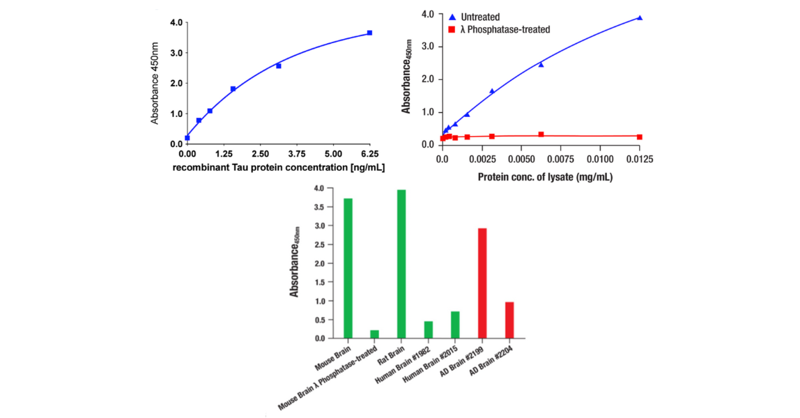 PathScan RP Phospho-Tau (Thr217) Sandwich ELISA Kit #59672 的评估