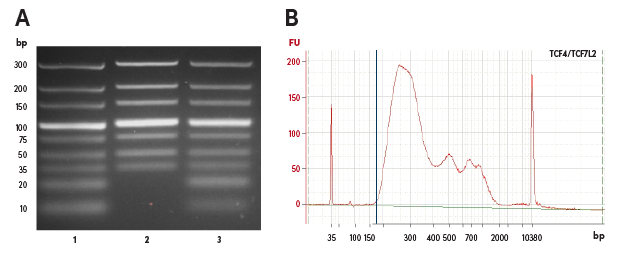 ChIP CUTRUN CUTTag 的 DNA 纯化方法比较