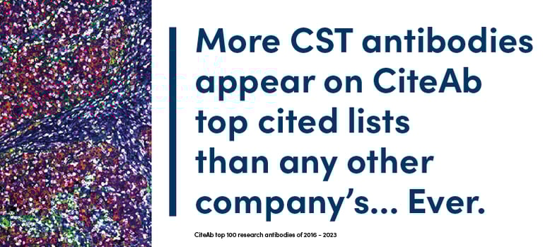 CiteAb 引用列表中出现的 CST 抗体比任何其他公司的抗体都多……。
