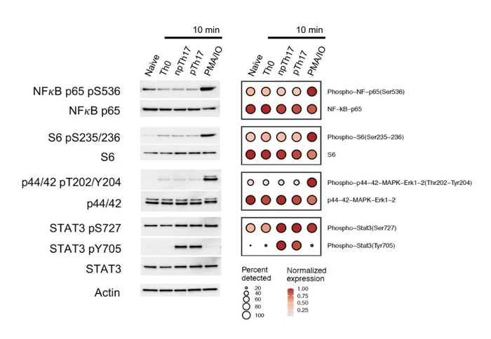 InTraSeq 可重复性低丰度蛋白质