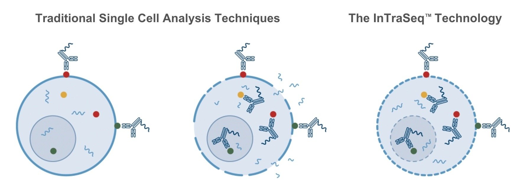 InTraSeq 与传统多模态检测