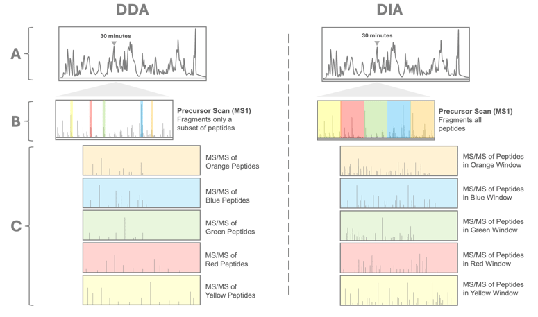 DIA vs DDA Proteomics Methods