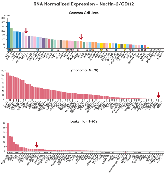 人类蛋白质图谱_标准化 RNA Nectin-2