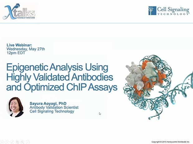 使用验证的抗体和优化的 ChIP 实验来分析表观遗传学标记物