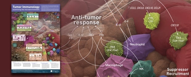 肿瘤免疫学 - 标语 - 博文