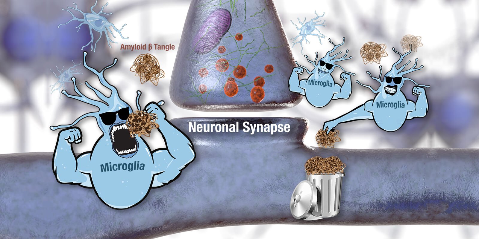synapse-microglia illustration wide 1600x800.jpg