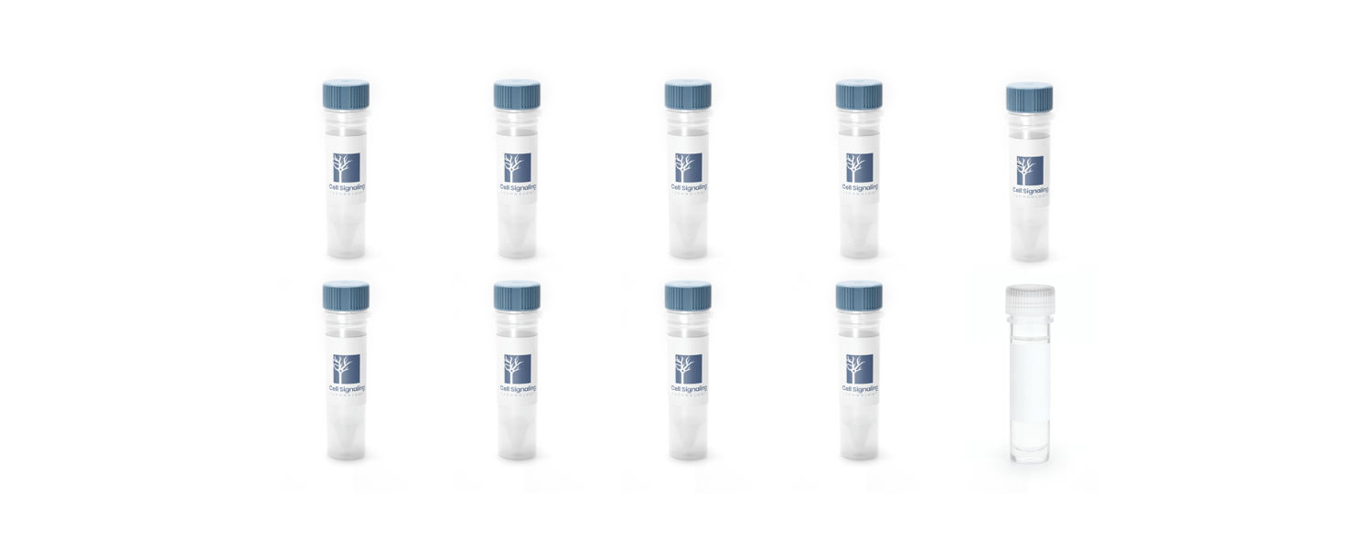 CiteAb Top 100：重组抗体与发现试剂榜单