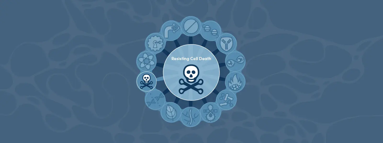 癌症标志：抵抗细胞死亡