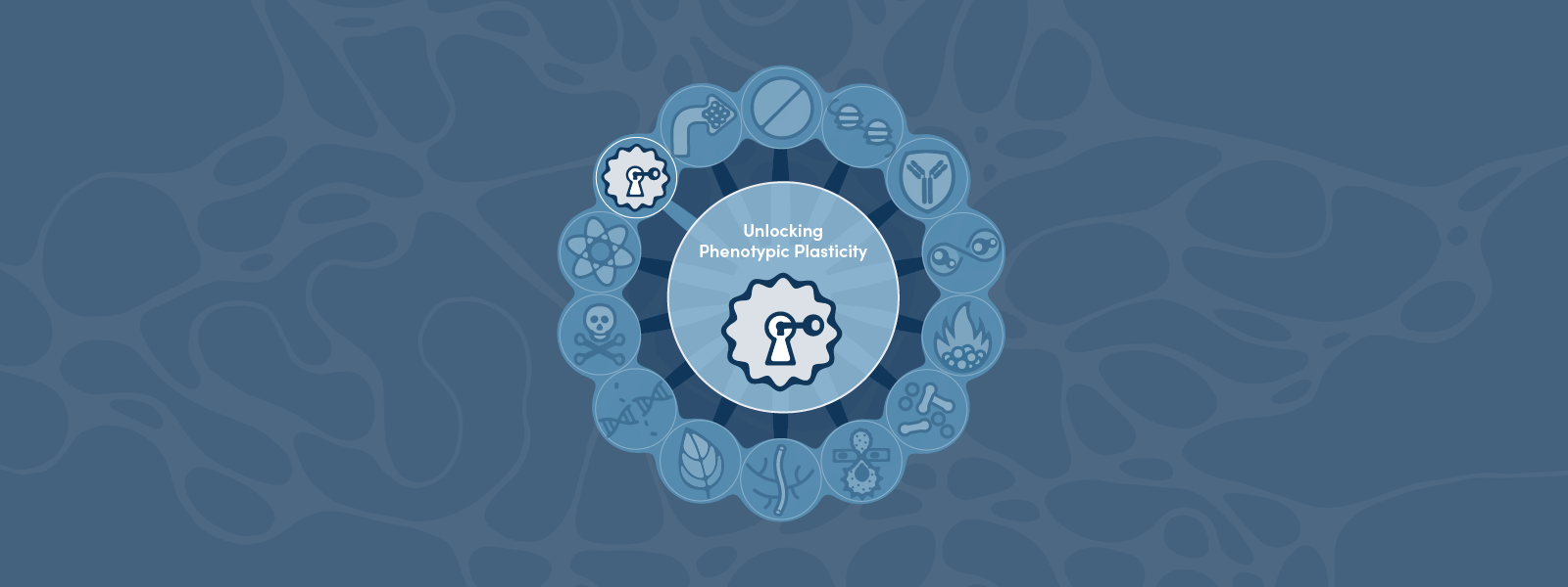 癌症标志：揭示表型可塑性