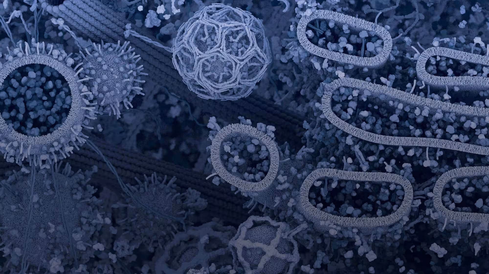 CST 博客细胞景观页脚 CST 博客细胞景观页脚