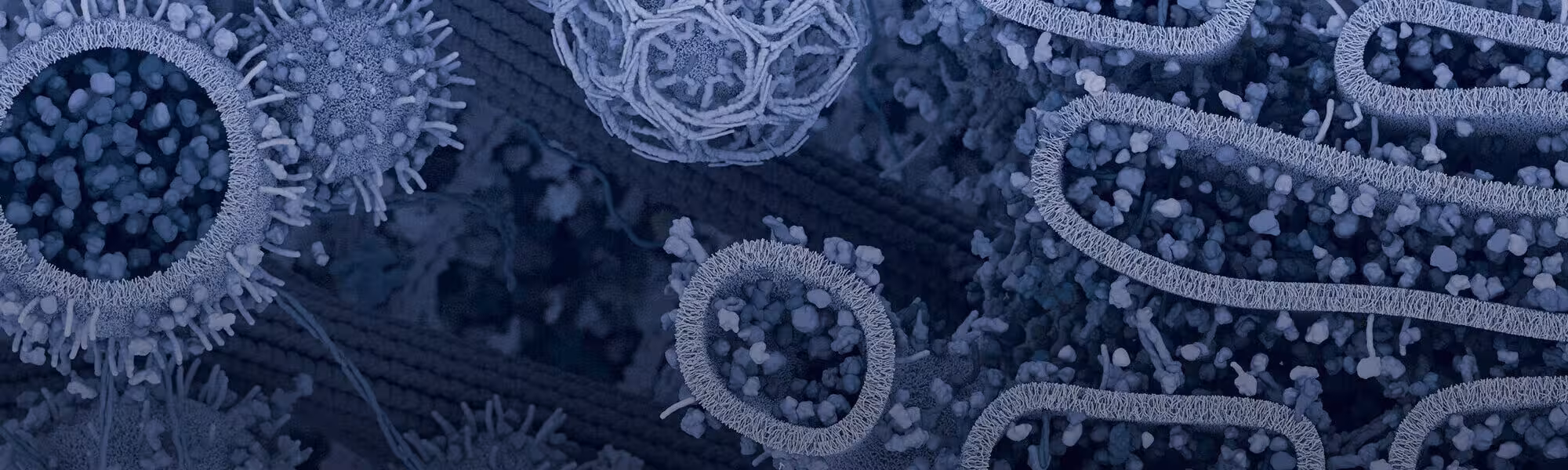 CST 博客细胞景观 CST 博客细胞景观